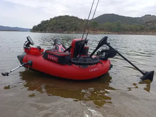 Pato Hart X Fast Motorizado Completo