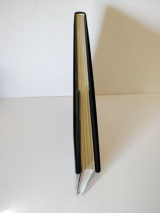 Ballenas, Delfines Y Marsopas