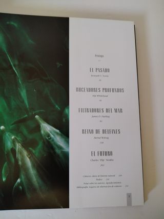 Ballenas, Delfines Y Marsopas