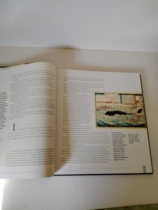 Ballenas, Delfines Y Marsopas