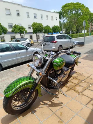 Suzuki Volusia 800 Custom Verde