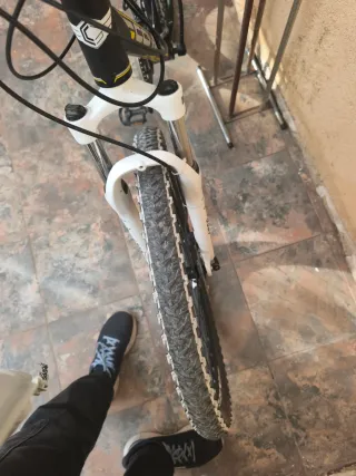 Bicicleta de montaña