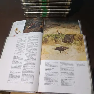 Enciclopedia Salvat De La Fauna