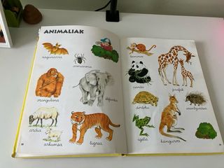 Mila hitz irakurtzeko eta mila irudi begiratzeko