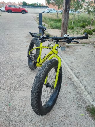 Bici Megamo Fat Tank
