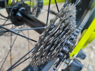 Bici Megamo Fat Tank
