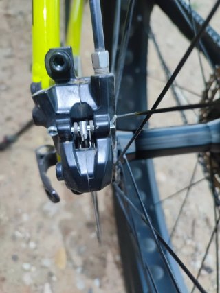 Bici Megamo Fat Tank