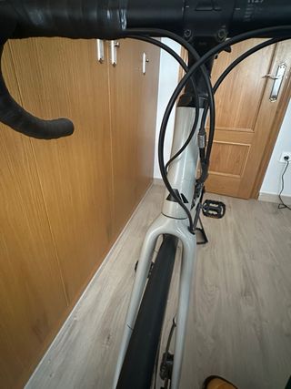 Canyon Endurace CF SL 8 2021 Talla L