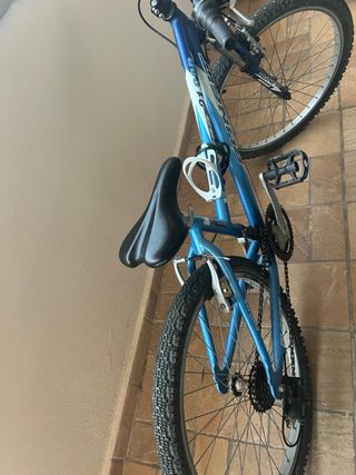 Bicicleta azul con portabidón