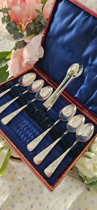 Set 6 Cucchiai e Portazollette in silver plated