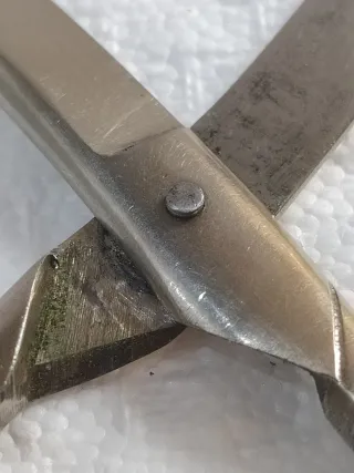 Rare forbici sartoriali RHODIATOCE