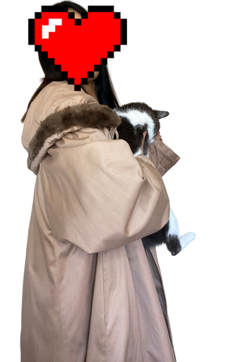 Parka lunga elegante beige/marrone