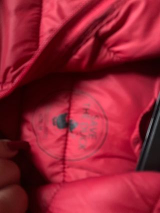 Save the Duck Piumino Rosso