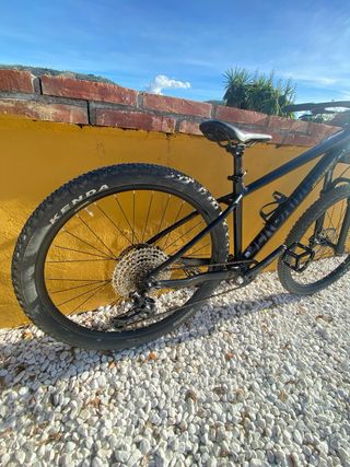 Bicicleta montaña Bergamont Revox7