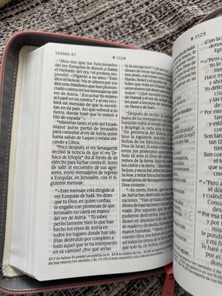 Biblia NTV compacta letra gigante