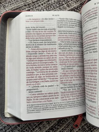 Biblia NTV compacta letra gigante