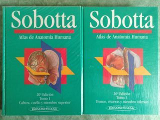 Oxford Anatomy (Spanish Edition)