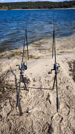 2 Cañas de Pesca Carp Exalty 13' 3.5 lb