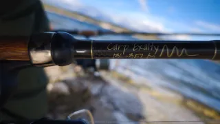 2 Cañas de Pesca Carp Exalty 13' 3.5 lb