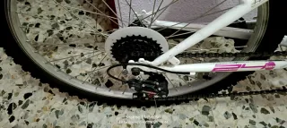 Bicicleta  24 ""