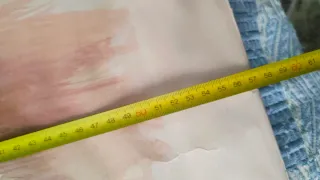 Acuarela pintor Aliaga caballo