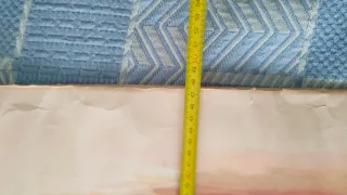 Acuarela pintor Aliaga caballo