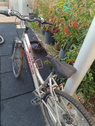 Bicicleta de montaña Globe Trotter