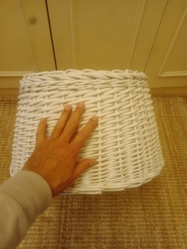 Tulipa mimbre blanca