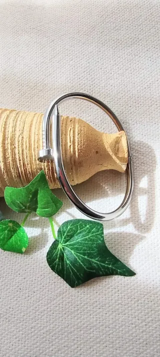 Pulsera de Titanio color Plata