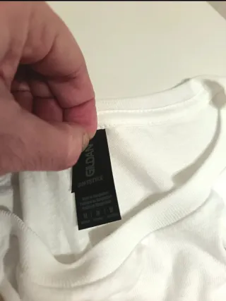 Camiseta Parkway Drive