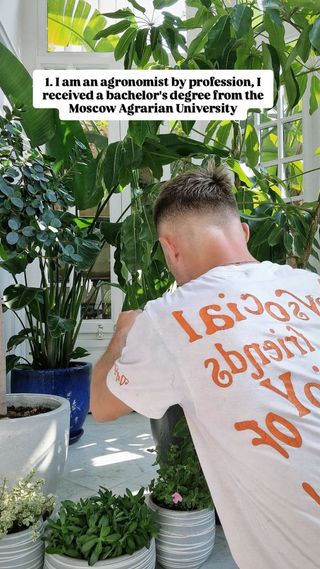 Jardinero en Barcelona – Cuidado de plantas