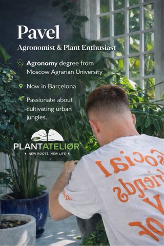 Cuidado premium de plantas y terrazas en Barce