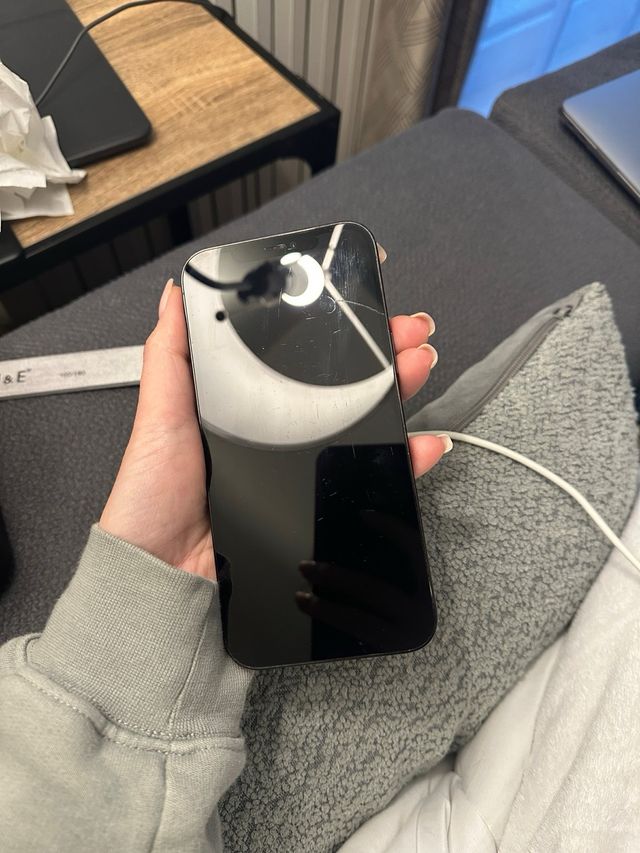 iPhone 12 Pro Max 256 GB