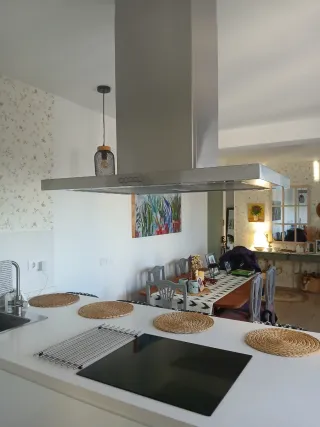 Campana extractora techo y placa de inducción