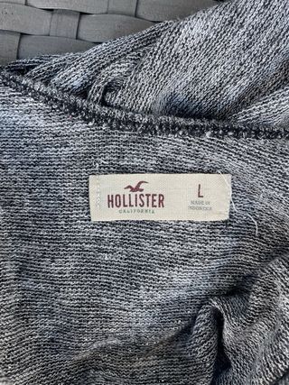 Top manica lunga Hollister grigio