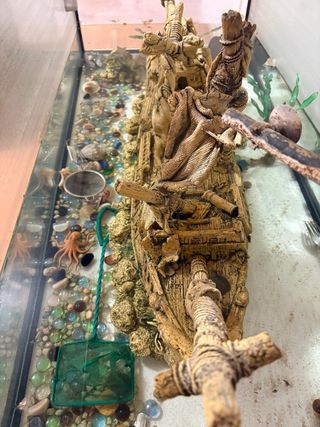 Pecera grande con accesorios