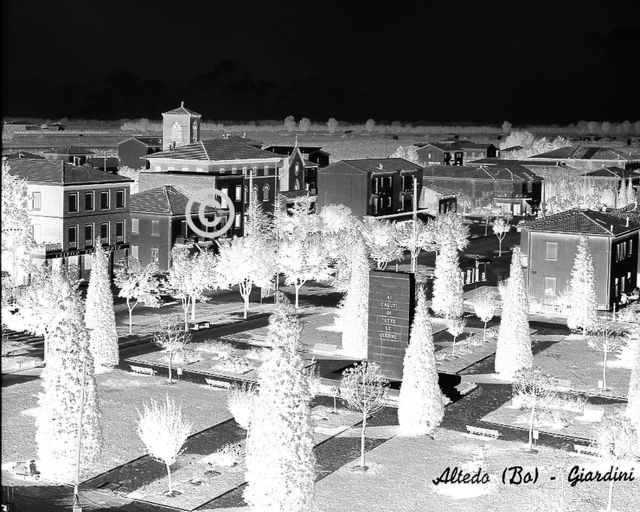 5 Negativi 13x18 in vetro Altedo (BO)