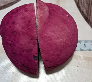 Geode appariscente con colori vivaci sezopnato