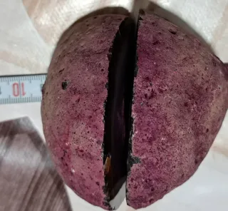 Geode appariscente con colori vivaci sezopnato