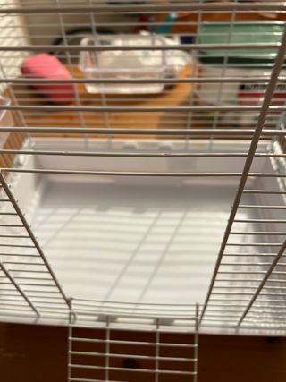 Jaula para pájaros plateada y blanca