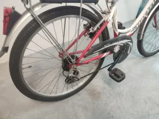 Bicicleta Paseo Rueda 24