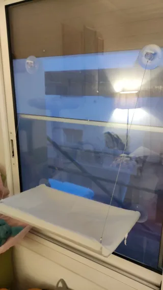 Transportín y hamaca para gatos