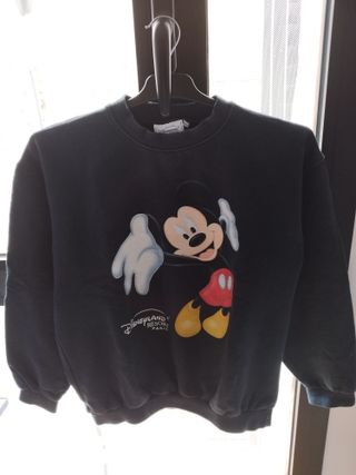 Sudadera Disney y polares