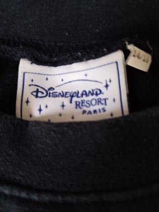 Sudadera Disney y polares