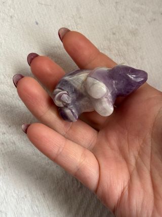 Oso de amatista dream