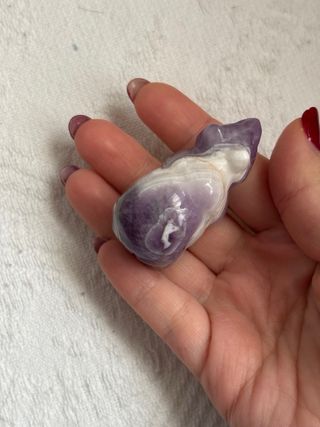 Oso de amatista dream