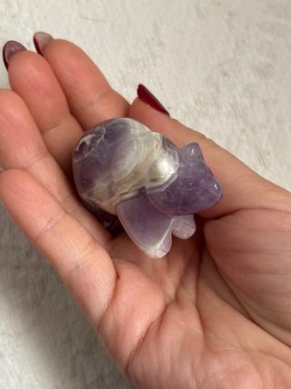 Oso de amatista dream