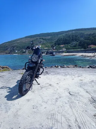 Triumph scrambler 900