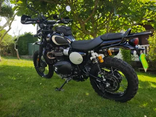 Triumph scrambler 900