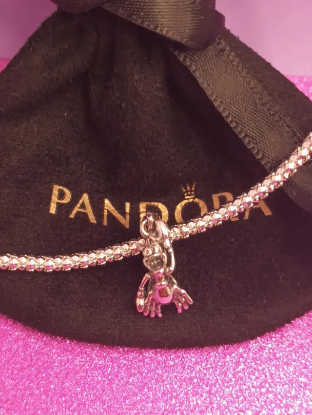 Charm pandora